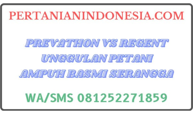 Prevathon VS Regent Unggulan Petani Ampuh Basmi Serangga