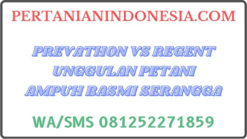 Prevathon VS Regent Unggulan Petani Ampuh Basmi Serangga