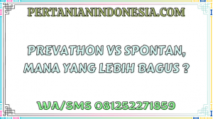Prevathon VS Spontan, Mana Yang Lebih Bagus ?