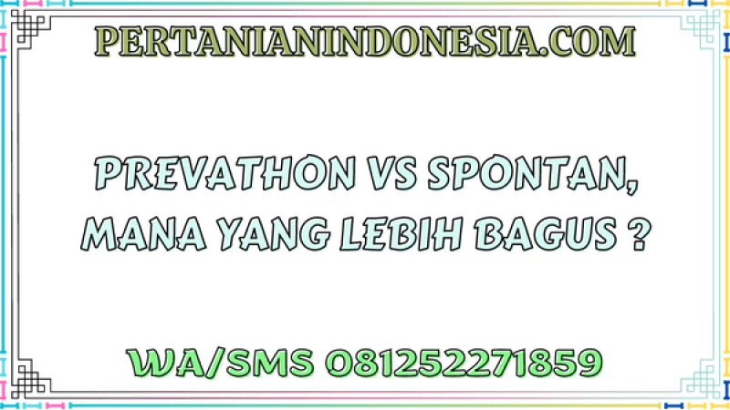 Prevathon VS Spontan, Mana Yang Lebih Bagus ?