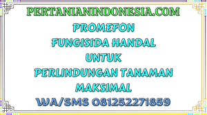 Promefon Fungisida Handal Untuk Perlindungan Tanaman Maksimal