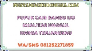 Pupuk Cair Bambu Ijo Kualitas Unggul Harga Terjangkau