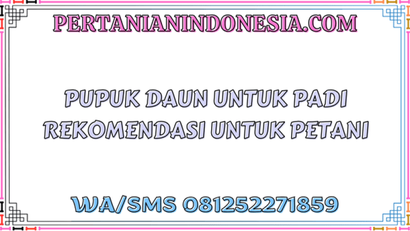Pupuk Daun Untuk Padi Rekomendasi Untuk Petani