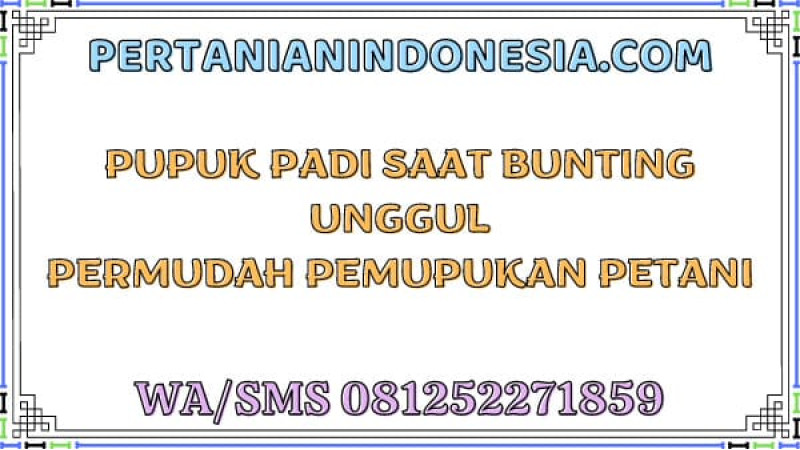 Pupuk Padi Saat Bunting Unggul Permudah Pemupukan Petani
