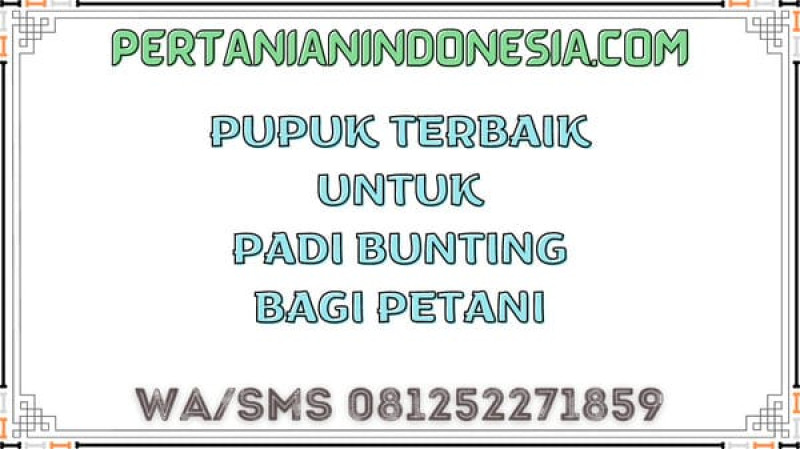 Pupuk Terbaik Untuk Padi Bunting Bagi Petani