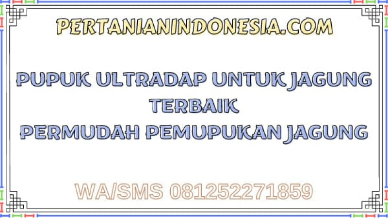 Pupuk Ultradap Untuk Jagung Terbaik Permudah Pemupukan Jagung