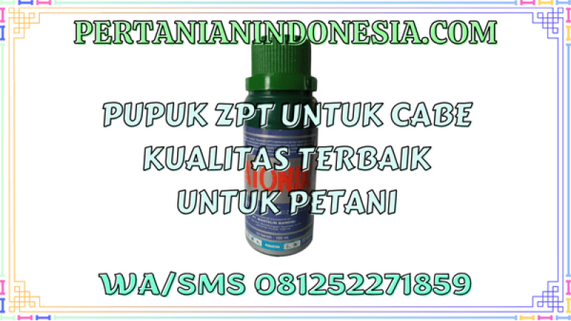 Pupuk ZPT Untuk Cabe Kualitas Terbaik Untuk Petani