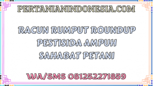 Racun Rumput Roundup Pestisida Ampuh Sahabat Petani