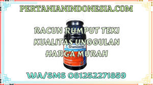 Racun Rumput Teki Kualitas Unggulan Harga Murah