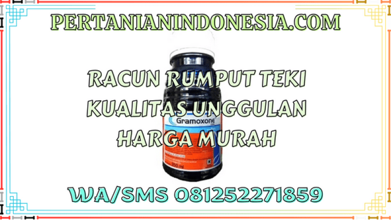 Racun Rumput Teki Kualitas Unggulan Harga Murah