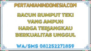 Racun Rumput Teki Yang Ampuh Harga Terjangkau Berkualitas Unggul