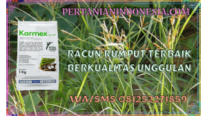 Racun Rumput Terbaik Berkualitas Unggulan