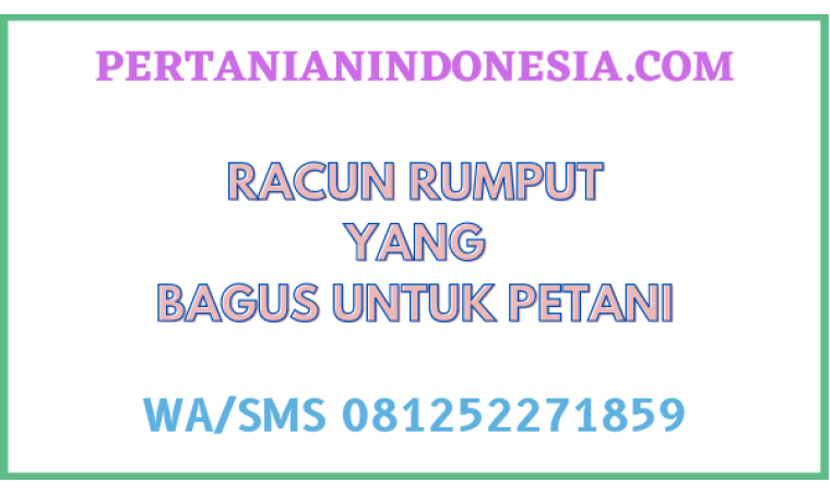 Racun Rumput Yang Bagus Untuk Petani