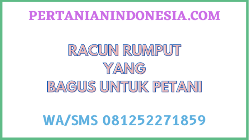 Racun Rumput Yang Bagus Untuk Petani