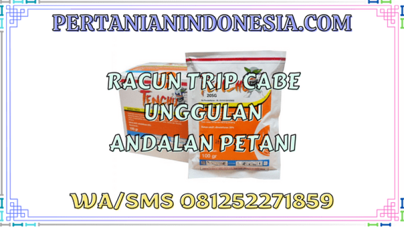 Racun Trip Cabe Unggulan Andalan Petani