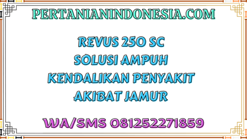 Revus 250 SC Solusi Ampuh Kendalikan Penyakit Akibat Jamur