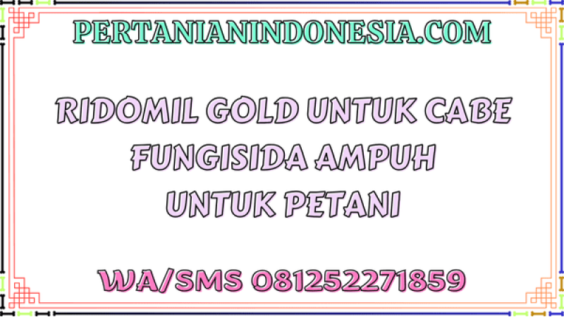 Ridomil Gold Untuk Cabe Fungisida Ampuh Untuk Petani