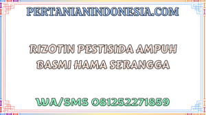 Rizotin Pestisida Ampuh Basmi Hama Serangga