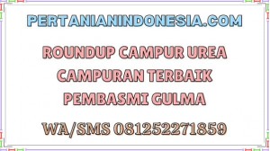 Roundup Campur Urea Campuran Terbaik Pembasmi Gulma