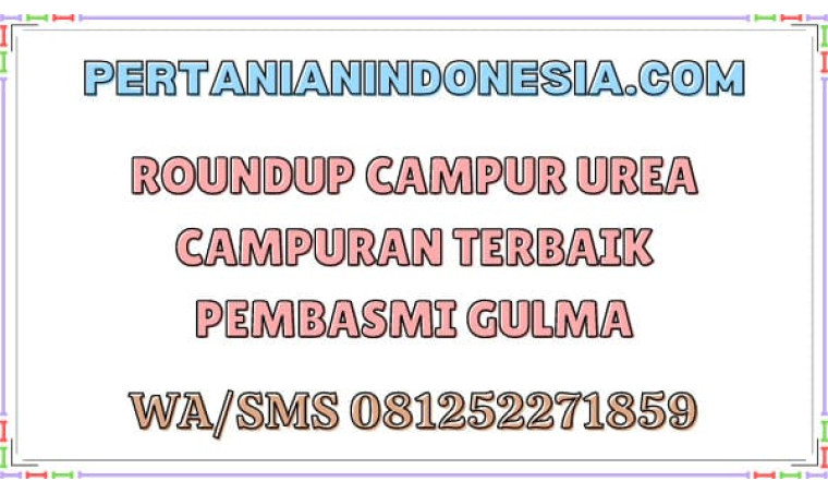 Roundup Campur Urea Campuran Terbaik Pembasmi Gulma