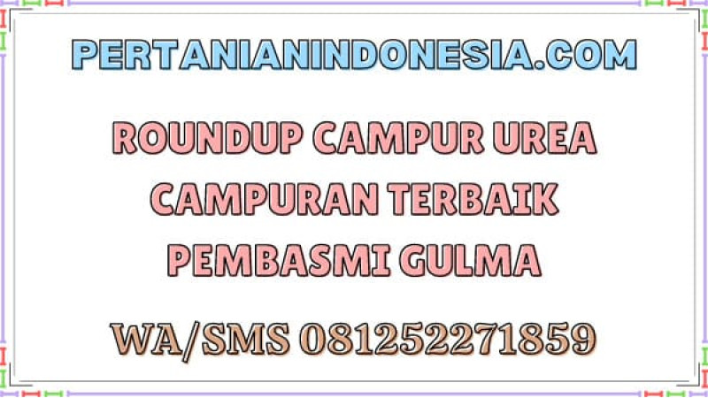 Roundup Campur Urea Campuran Terbaik Pembasmi Gulma