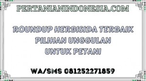Roundup Herbisida Terbaik Pilihan Unggulan Untuk Petani