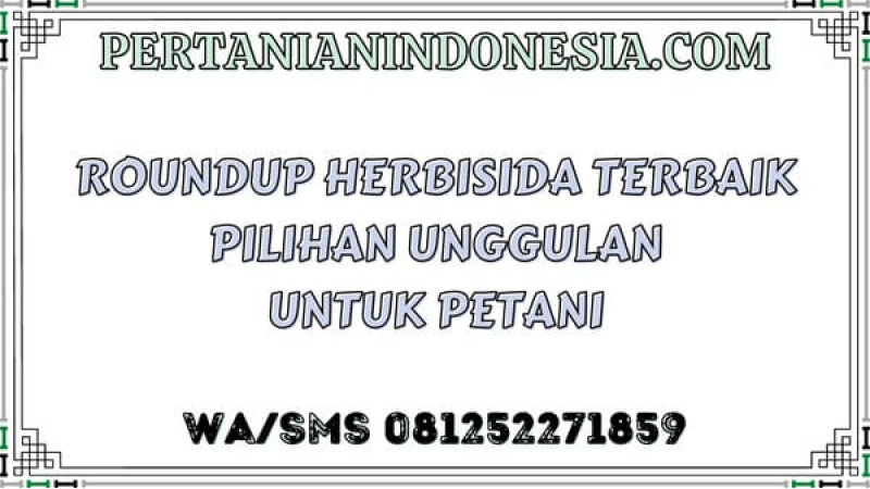 Roundup Herbisida Terbaik Pilihan Unggulan Untuk Petani