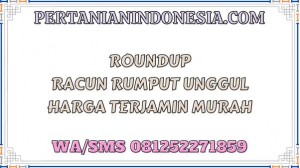 Roundup Racun Rumput Unggul Harga Terjamin Murah