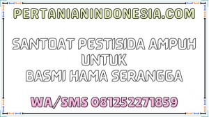 Santoat Pestisida Ampuh Untuk Basmi Hama Serangga