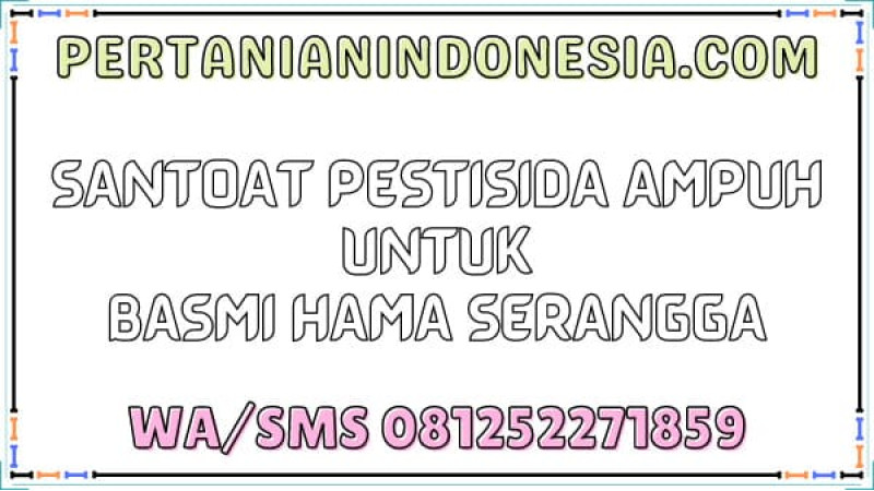 Santoat Pestisida Ampuh Untuk Basmi Hama Serangga