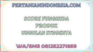 Score Fungisida Produk Unggulan Syngenta