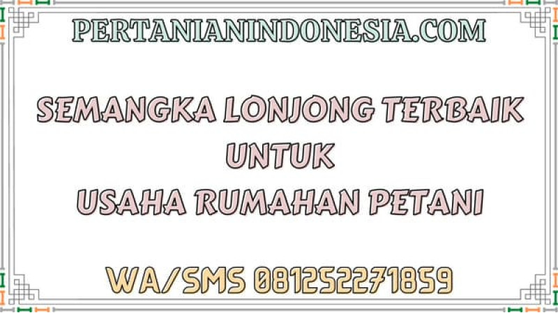 Semangka Lonjong Terbaik Untuk Usaha Rumahan Petani