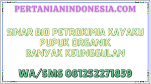 Sinar Bio Petrokimia Kayaku Pupuk Organik Banyak Keunggulan