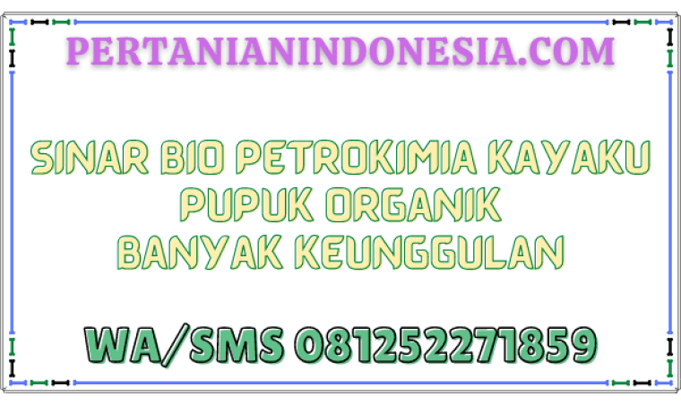Sinar Bio Petrokimia Kayaku Pupuk Organik Banyak Keunggulan