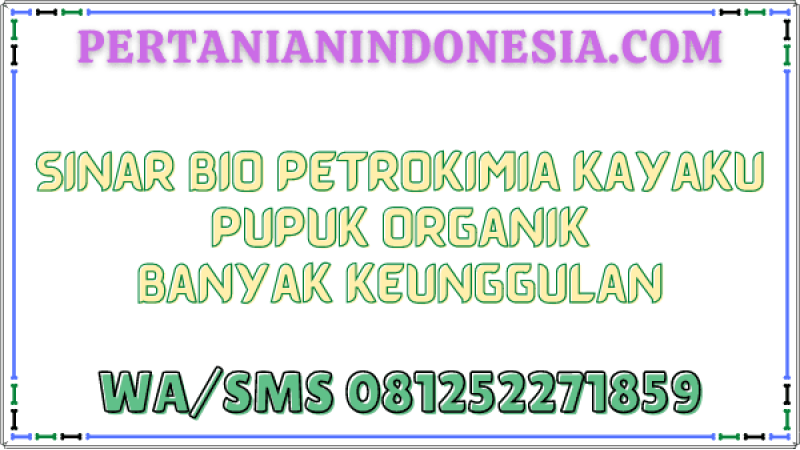 Sinar Bio Petrokimia Kayaku Pupuk Organik Banyak Keunggulan