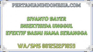 Sivanto Bayer Insektisida Unggul Efektif Basmi Hama Serangga