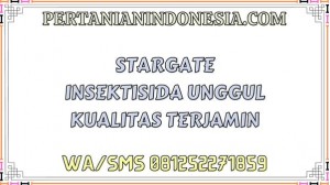 Stargate Insektisida Unggul Kualitas Terjamin