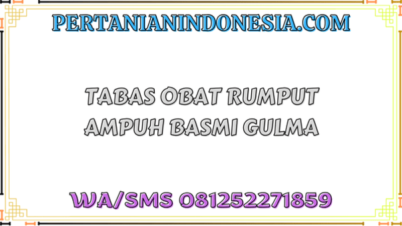 Tabas Obat Rumput Ampuh Basmi Gulma