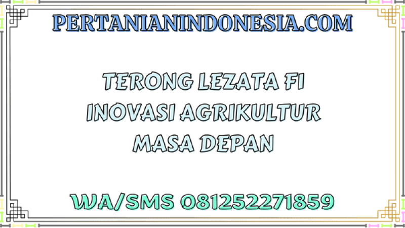 Terong Lezata F1 Inovasi Agrikultur Masa Depan