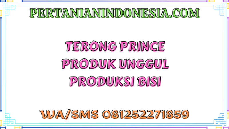 Terong Prince Produk Unggul Produksi Bisi