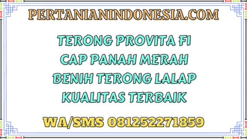 Terong Provita F1 Cap Panah Merah Benih Terong Lalap Kualitas Terbaik