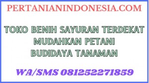 Toko Benih Sayuran Terdekat Mudahkan Petani Budidaya Tanaman