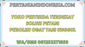 Toko Pestisida Terdekat Solusi Petani Peroleh Obat Tani Unggul