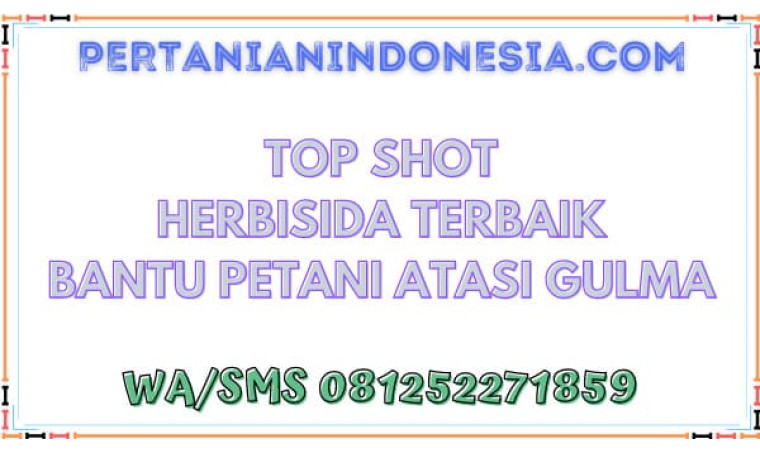 Top Shot Herbisida Terbaik Bantu Petani Atasi Gulma