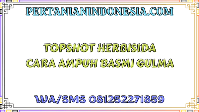 Topshot Herbisida Cara Ampuh Basmi Gulma