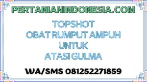 Topshot Obat Rumput Ampuh Untuk Atasi Gulma