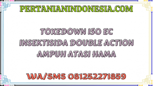 Toxedown 150 EC Insektisida Double Action Ampuh Atasi Hama