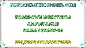 Toxedown Insektisida Ampuh Atasi Hama Serangga
