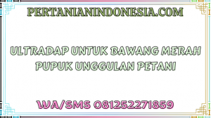 Ultradap Untuk Bawang Merah Pupuk Unggulan Petani