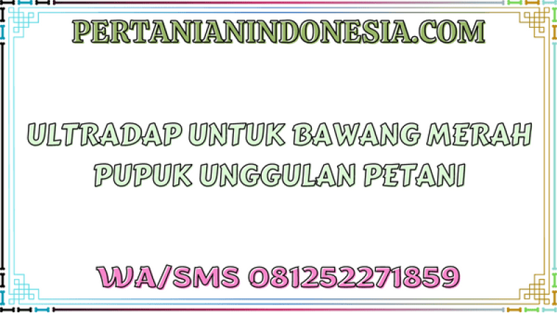 Ultradap Untuk Bawang Merah Pupuk Unggulan Petani